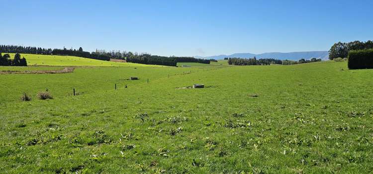 465 Adam Fleming Road Crossans Corner_20