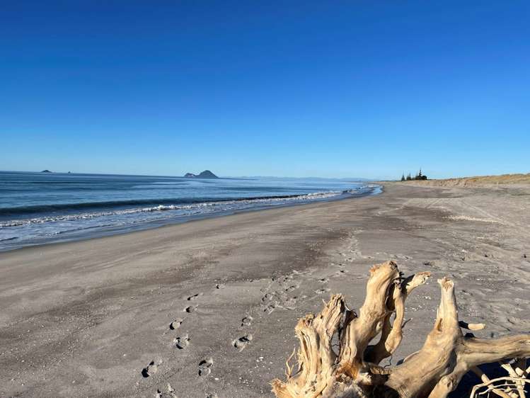 116C Mimiha Ridge Road Matata_13