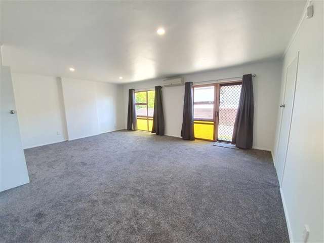  91 Pitt Street Palmerston North Central_2