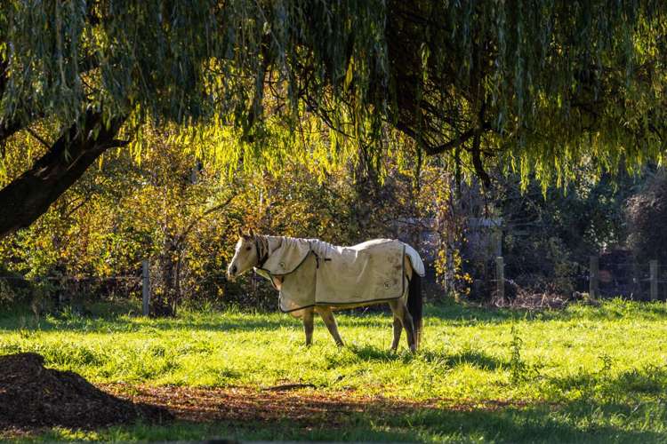 2d Ferry Road Spring Creek_9