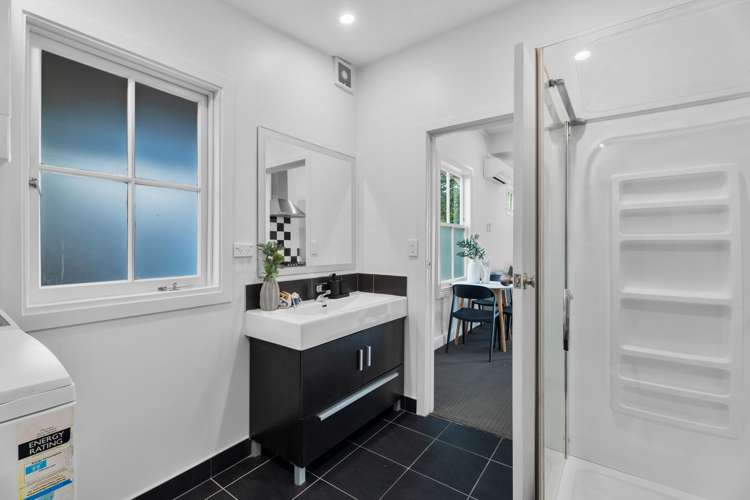 33 Alexander Street Kingsland_18