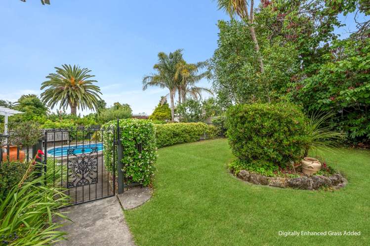 118 Vigor Brown Street Napier South_5