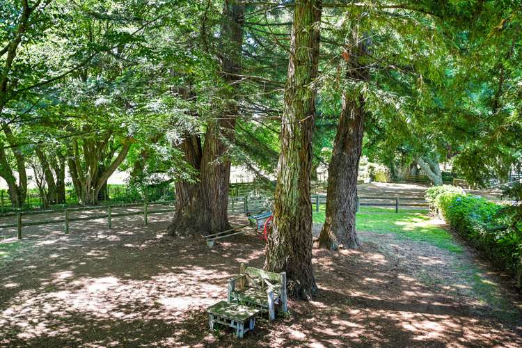 781c Bruntwood Road Tamahere_6