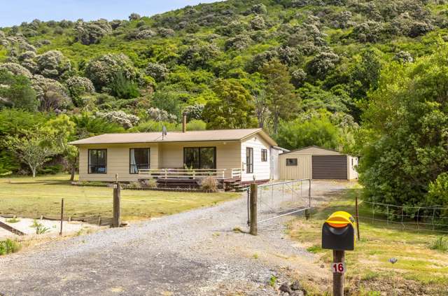 16 McLaughlin Drive Tinui_1