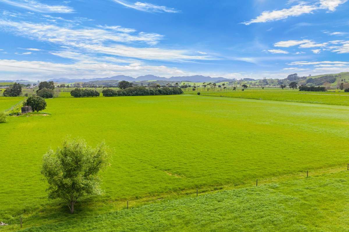 125 Awakino Point East Road_1