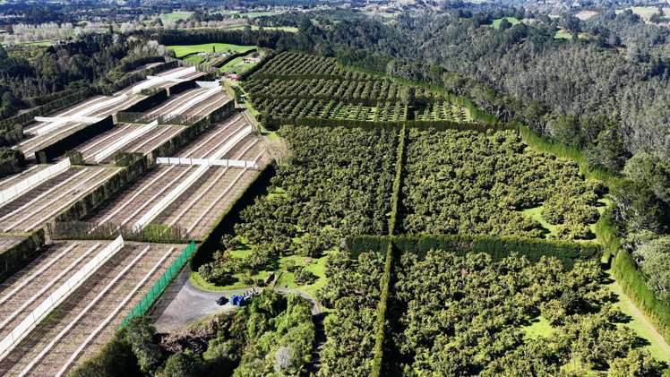 232C Williams Road North Pyes Pa_26