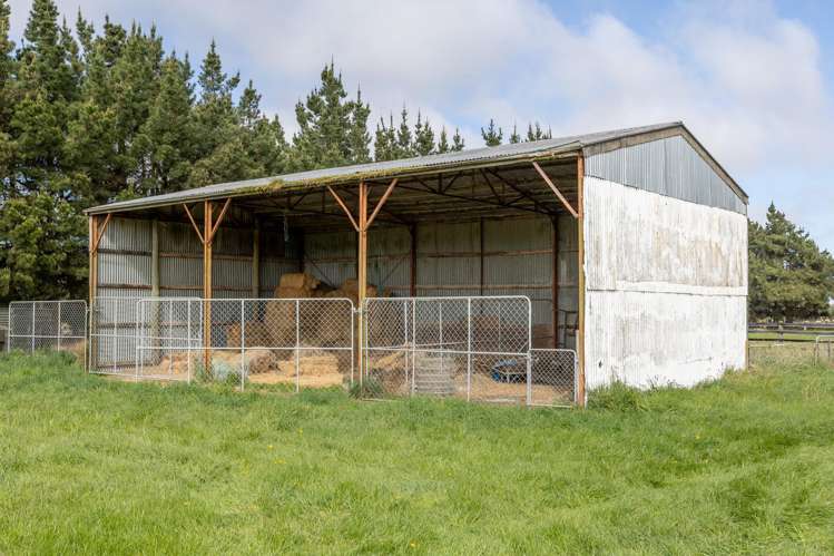 515 Bealey Road Charing Cross_19