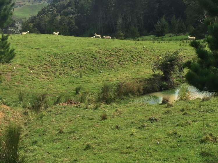 326 Ahuroa Valley Road Makarau_8