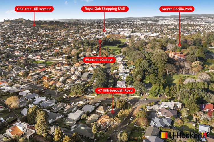 47 Hillsborough Road Hillsborough_20