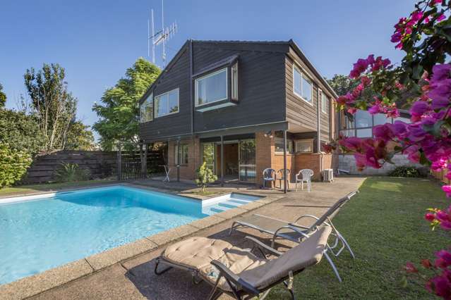 172 Waihi Road Judea_1