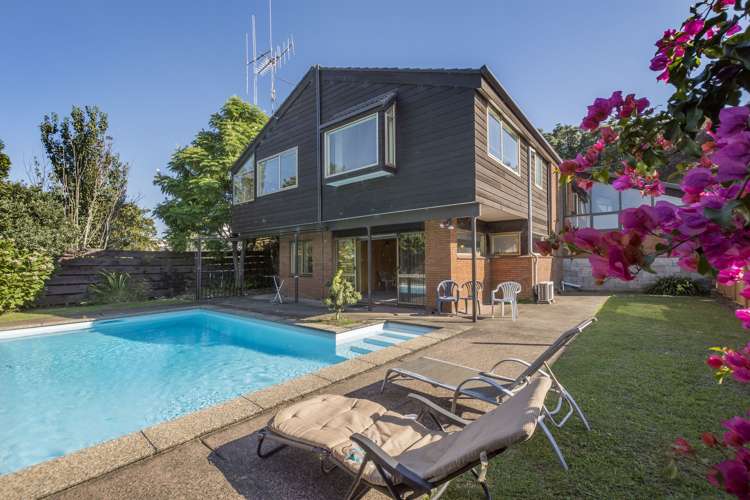 172 Waihi Road Judea_1