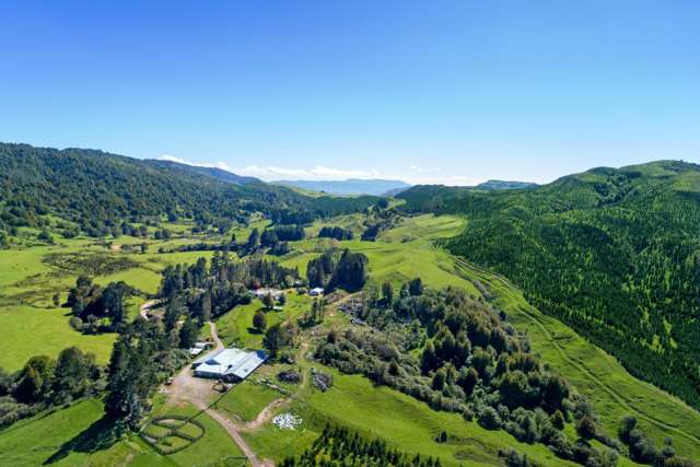 1271 Rakauroa Road Matawai_1