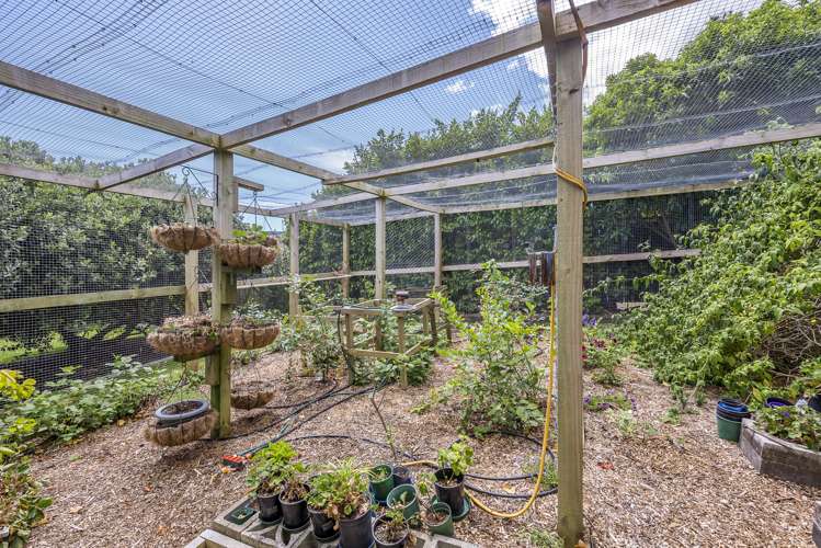 7 Seddon Street Wallaceville_25