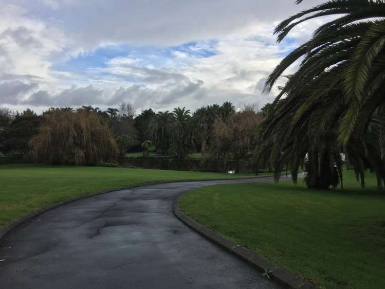 91 Normanby Road Karaka_10