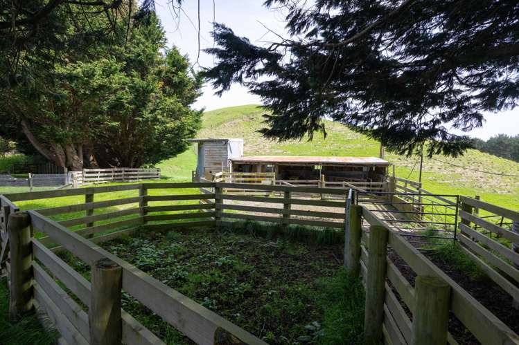 137 Zigzag Road Pohangina Valley_6