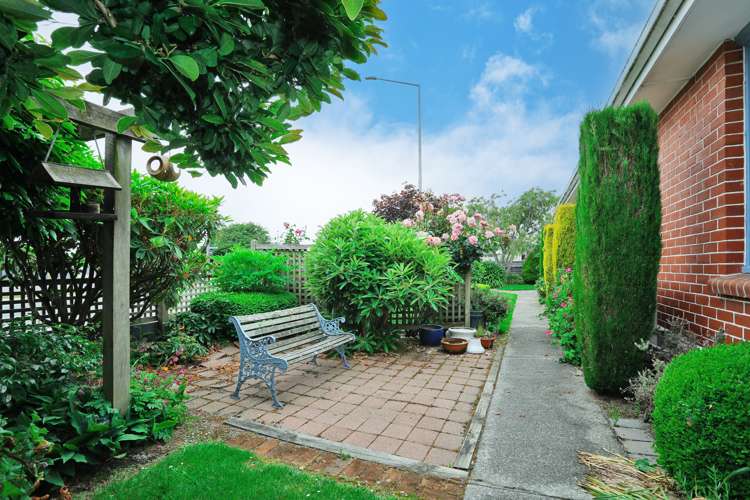 333 Layard Street Waverley_5