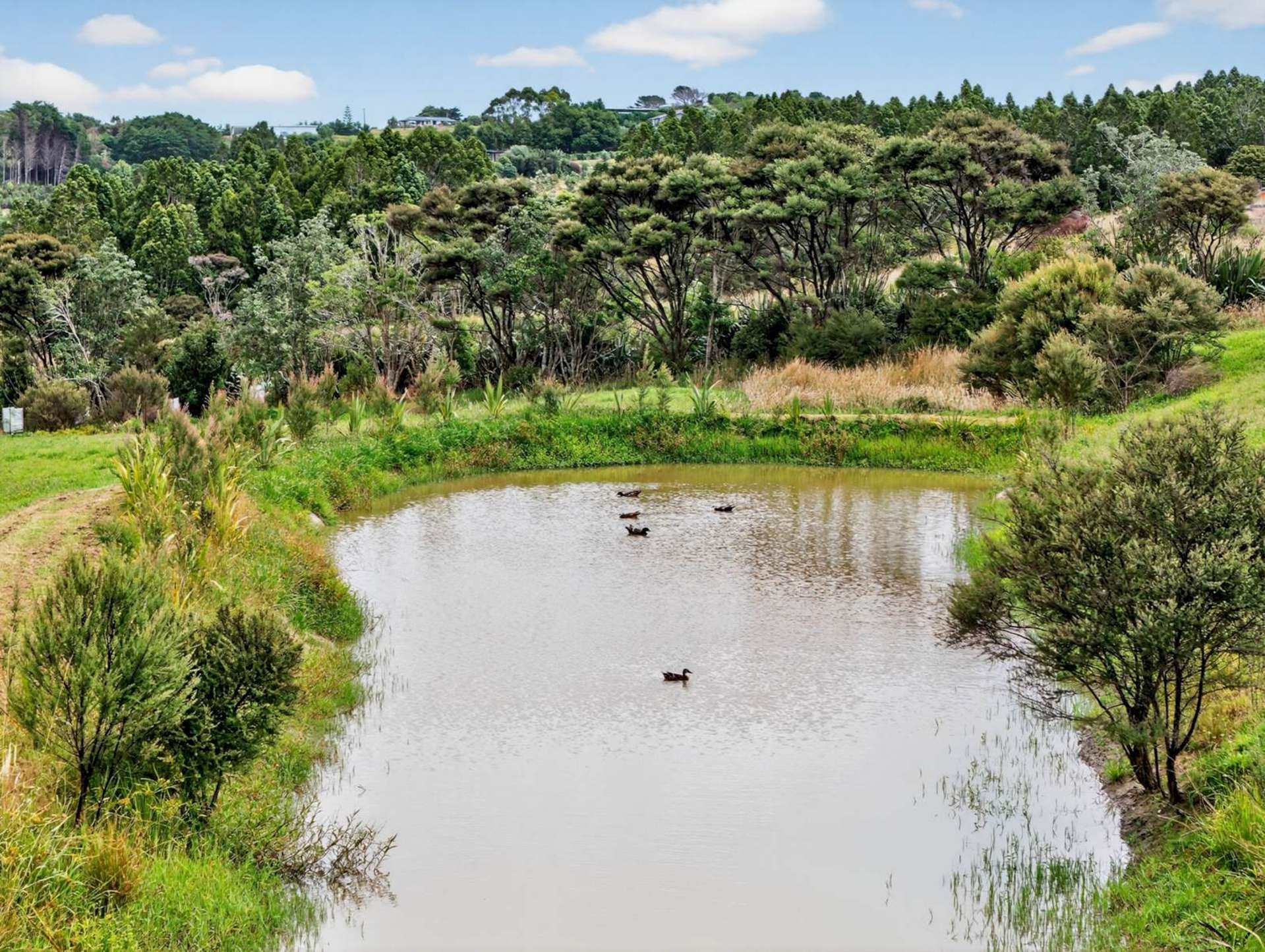 179b Cames Road Mangawhai_0