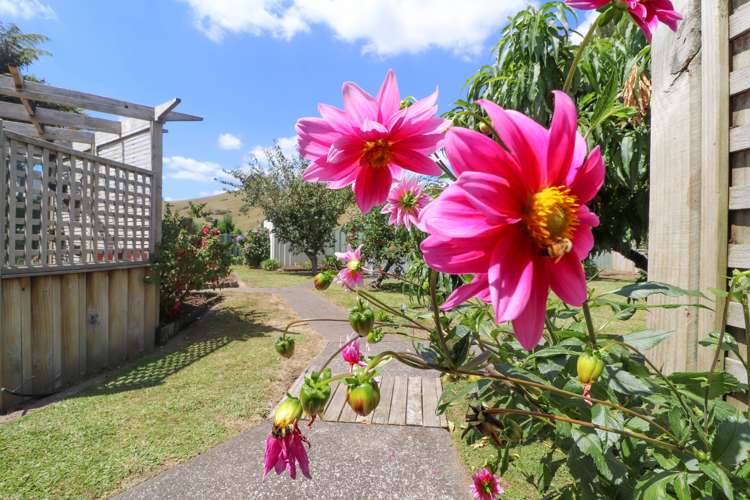 30 Puriri Valley Road Puriri_20