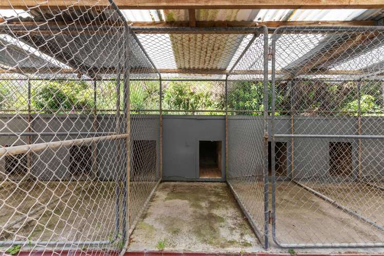 2C Kaitoke Loop Road Kaitoke_21