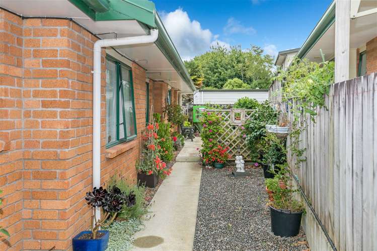 308b Bridgman Road Te Awamutu_13