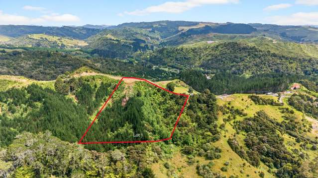 163 Ahuroa Road Puhoi_4