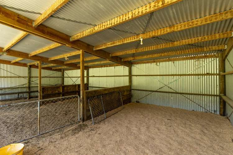 537 Ronga Road Rai Valley_33