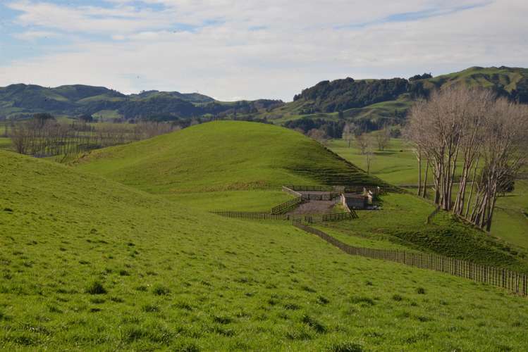 220 Tikitiki Road Te Kuiti_7