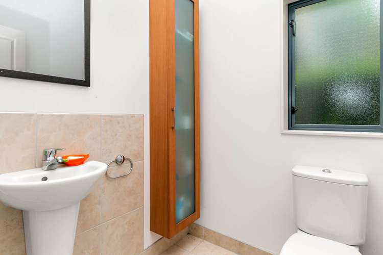 509d Hillsborough Road Mount Roskill_18