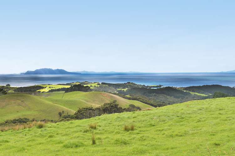 65 Rodney Road Pakiri_11