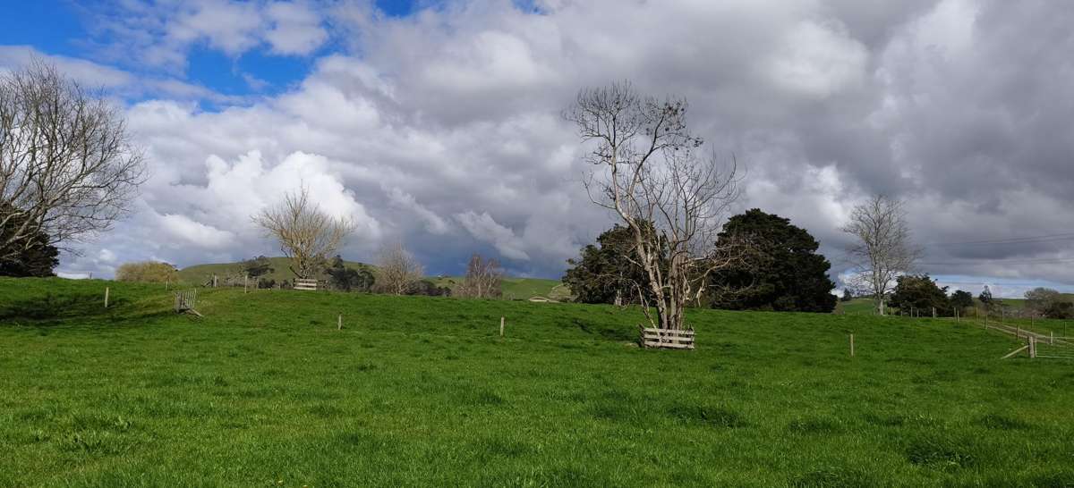 Lot 5/441 Kuranui Road_4