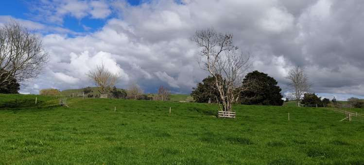 Lot 5/441 Kuranui Road Morrinsville_8