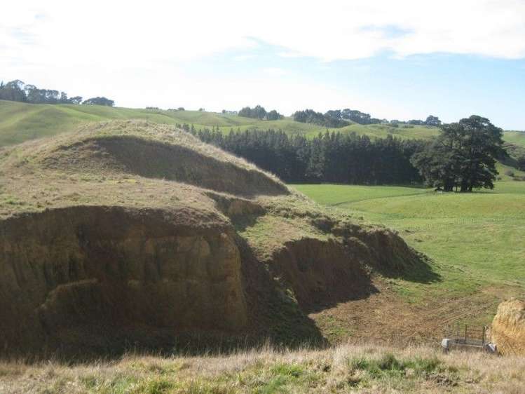 75703 State Highway 2 Norsewood_13