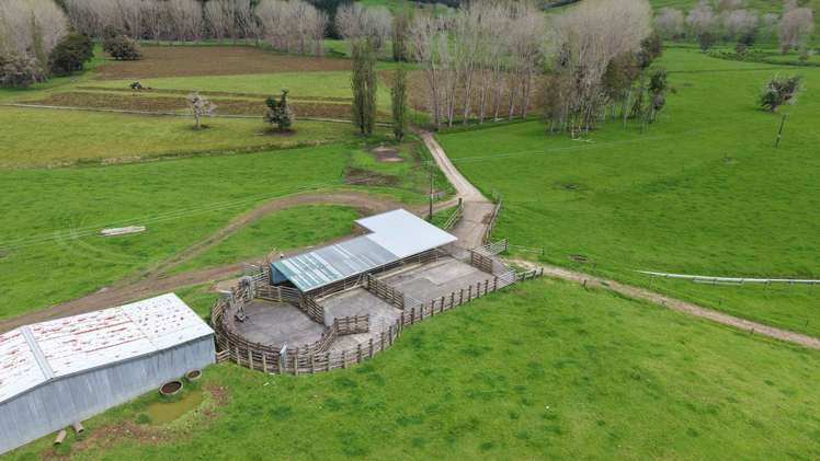 3675 Mangakahia Road Pakotai_11