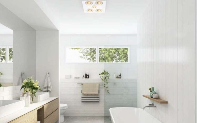 Kohekohe Road Waikanae_9