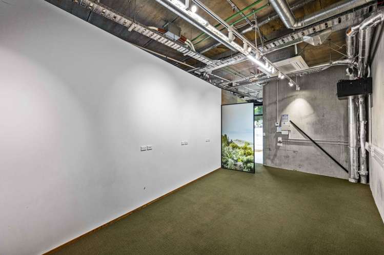 5 Crummer Road Grey Lynn_5