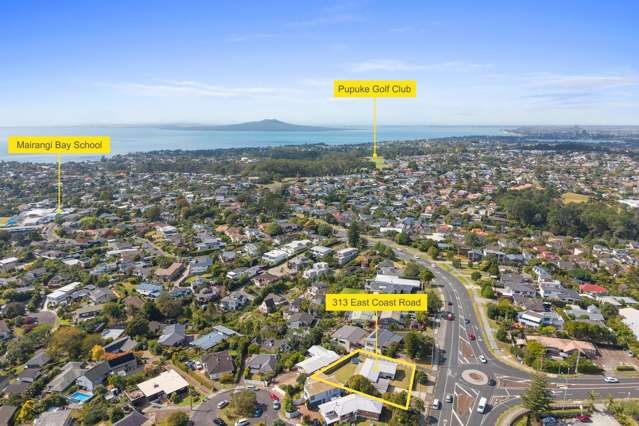 313 East Coast Road Mairangi Bay_3