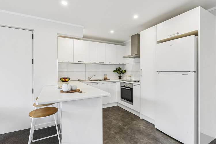 103B Hobart Street Miramar_6