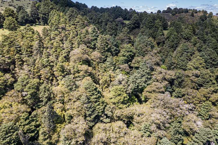 802 Russell Road Whakapara_41