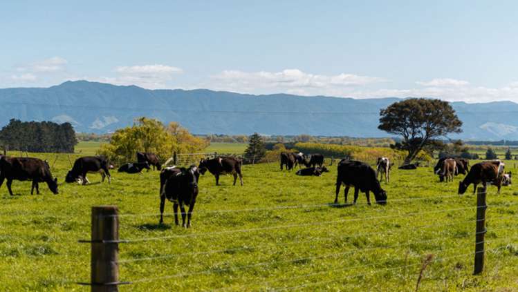 1972 Lake Ferry Road Pirinoa_14