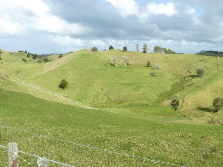 481 Moore Road Pipiwai_16