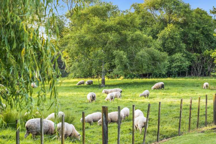 16 Langford Place Dairy Flat_25