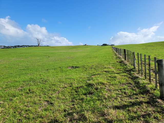 455 Mount Wesley Coast Road Dargaville_2