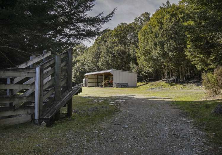 8626 Wairau Valley Highway St Arnaud_12