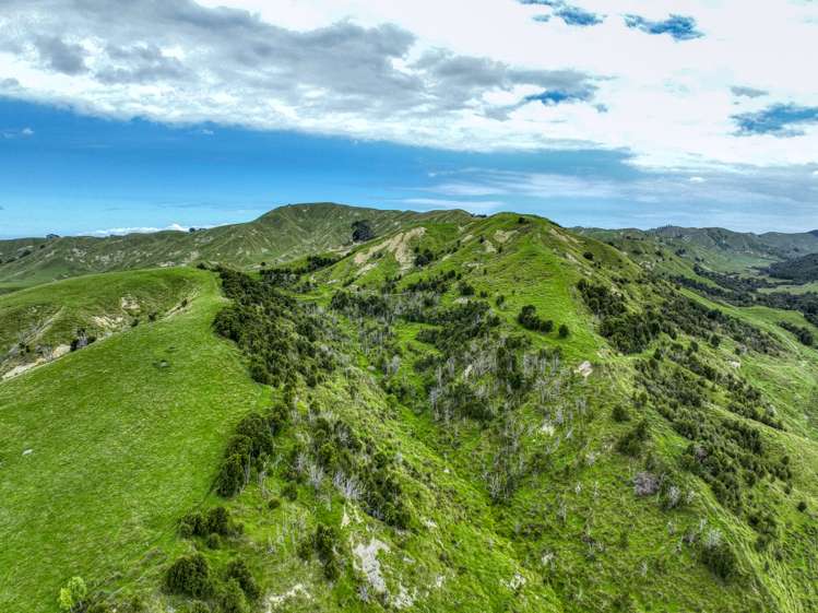 851 Awamate Road Frasertown_10