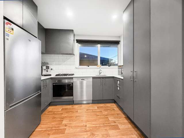 44 Athelstan Street Spreydon_1