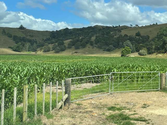 69 Kelly Road Waerenga_1