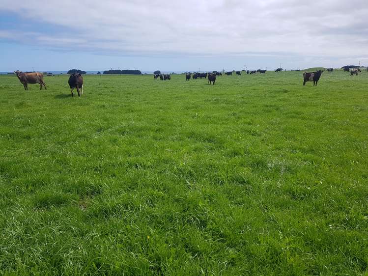 6 Perth Road Okato_5