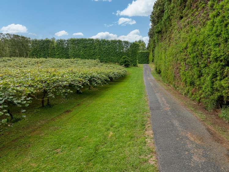 19E Amber Lane Karapiro_10