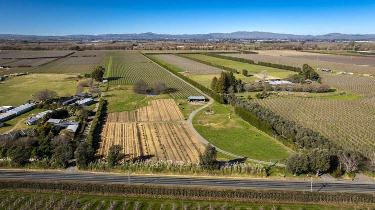 Kiwi Crunch Orchard Portfolio Twyford_38