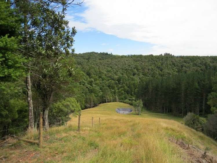 764 Work Road Whakamarama_18